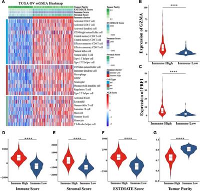 Combination of Immune-Related Genomic Alterations Reveals Immune Characterization and Prediction of Different Prognostic Risks in Ovarian Cancer